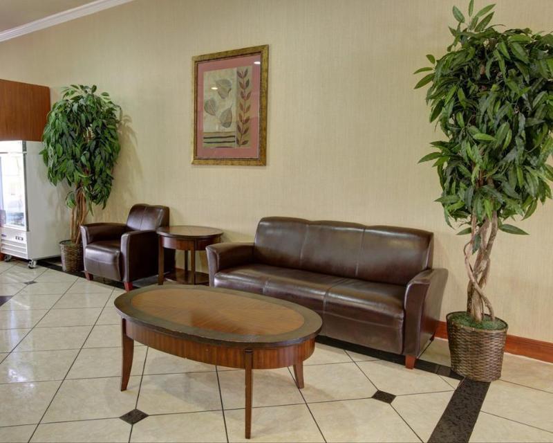 Comfort Suites Near Texas State University San Marcos Exterior photo